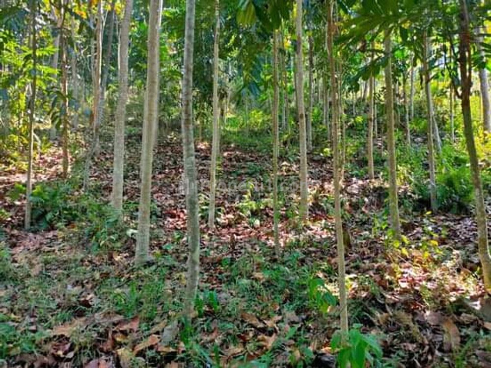 Jual Tanah di Badung Barat, Cocok untuk Investasi