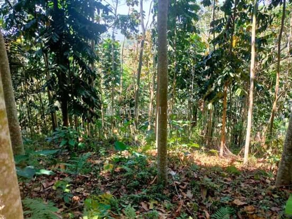 Jual Tanah di Badung Barat, Cocok untuk Investasi