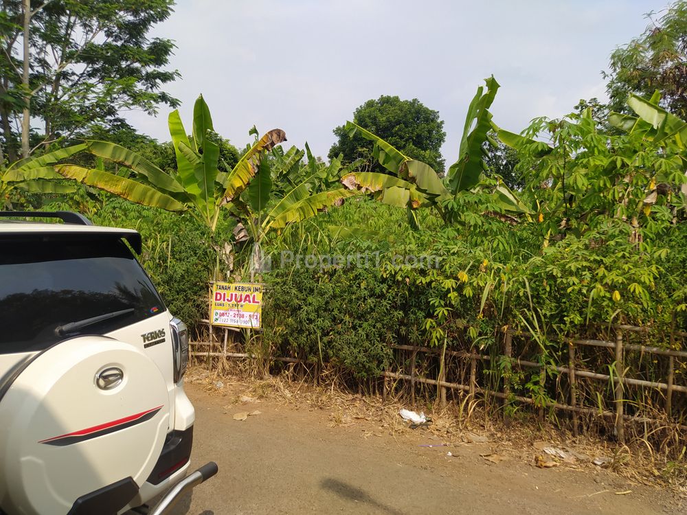 Dijual Tanah Kebun Lokasi Strategis di Karangtengah Cianjur