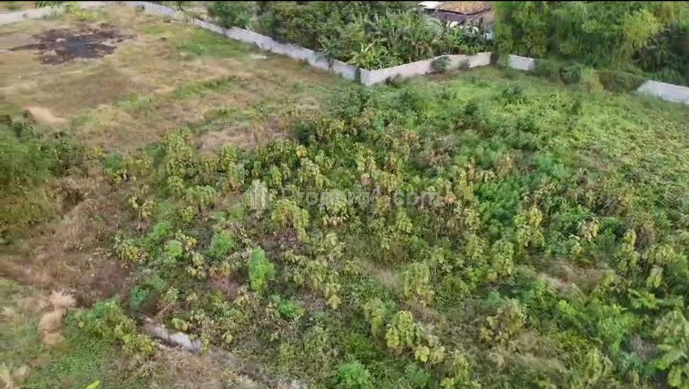 Dijual Tanah 1,8 ha di Gresik Jatim - Jalan Raya Kedamean, Dawarblandong - SHM - Nol Jalan Raya Cocok Buat Pegudangan, Perumahan
