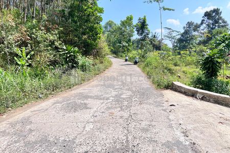 Jual Tanah View Istimewa Hamparan Kebun Teh di Kemuning Karanganyar Jawa Tengah