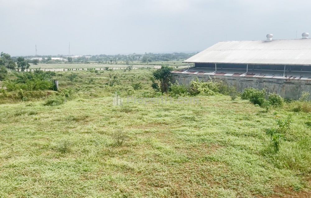Jual Tanah 2.286 m2 di Randuagung Singosari Malang, Dekat Pasar Singosari, SuperIndo Singosari, RS Lawang Medika, Stasiun Singosari, Candi Singosari