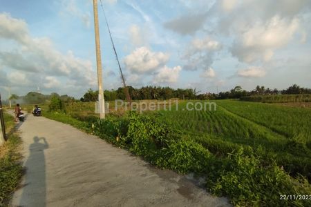 Dijual Tanah 3900 m2 di Belalang Dekat Kedungu Tabanan Bali