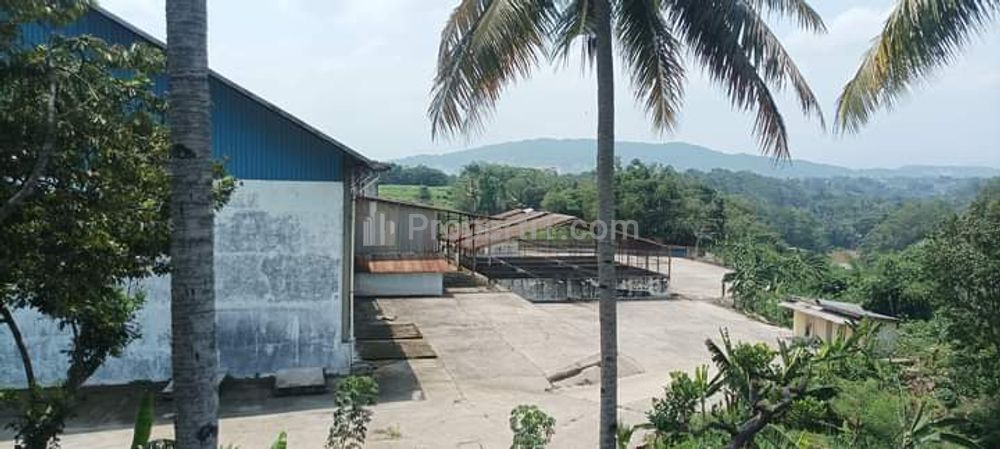 Jual Murah Gudang Luas Tanah 2.7 Hektar LB 6000 m2 Pinggir Jalan Mekarsari, Rancabungur, 10 km dari Tol Kayu Manis, Kabupaten Bogor, Jawa Barat