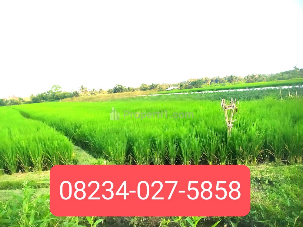 Dijual Tanah 1900 m2 Dekat Pantai Kedungu Tabanan Bali