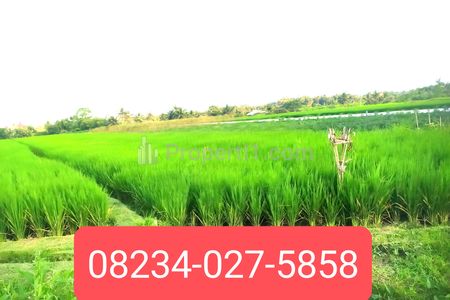 Dijual Tanah 1900 m2 Dekat Pantai Kedungu Tabanan Bali