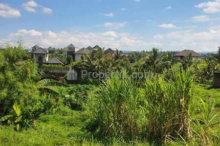 Jual Tanah di Desa Buleleng Bali, Harga di Bawah Standar Pasaran Murah Banget, Hanya 700 Ribu per m2