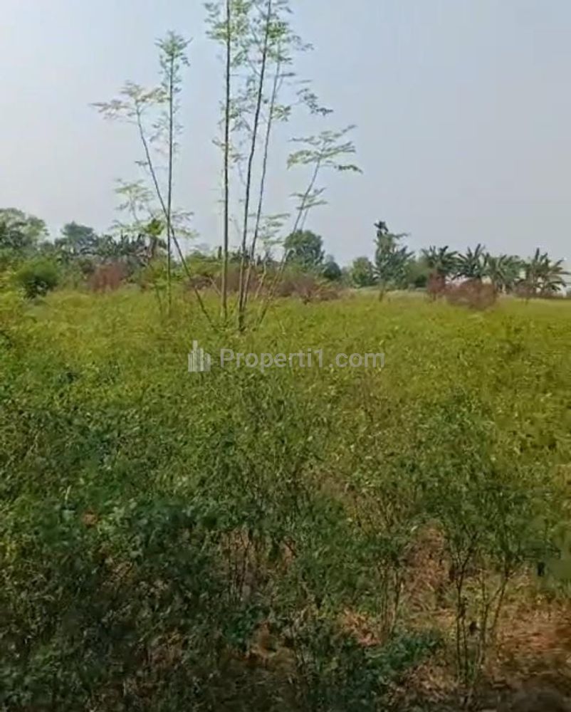 Dijual Tanah untuk Bangun Cluster atau Usaha Serta Gudang Pinggir Jalan Raya Dekat Gerbang Tol Gabus Tambun Utara Bekasi