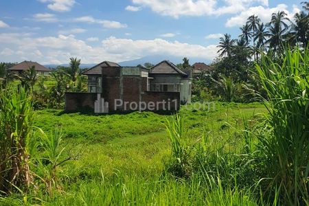 Tanah Dijual di Buleleng, 2 ha, Dekat Jalan Raya 750>680 Ribu per m2, Penawaran Tanah Langka dan Jarang Ada