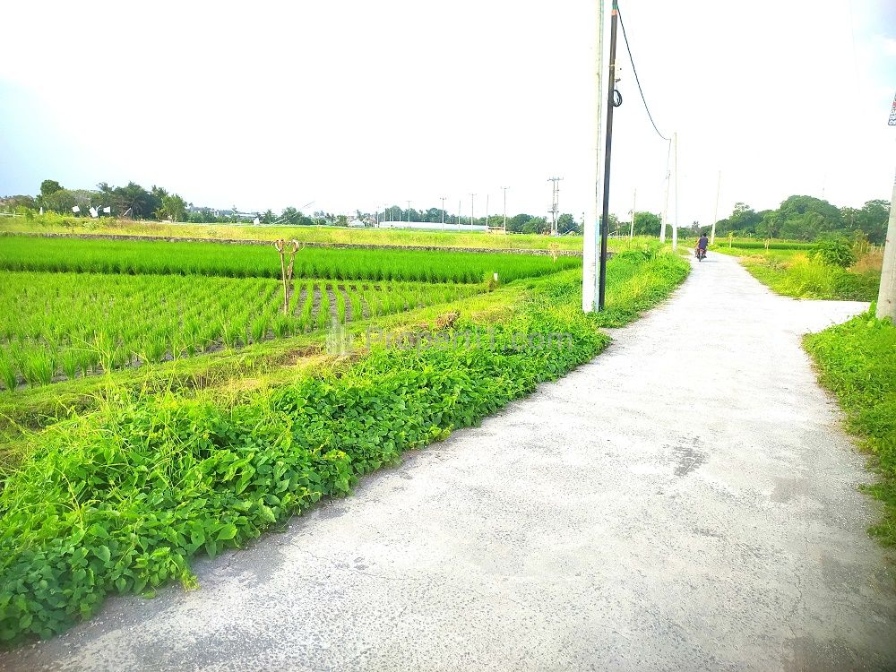Dijual Tanah 1900 m2 Dekat Pantai Kedungu Tabanan Bali