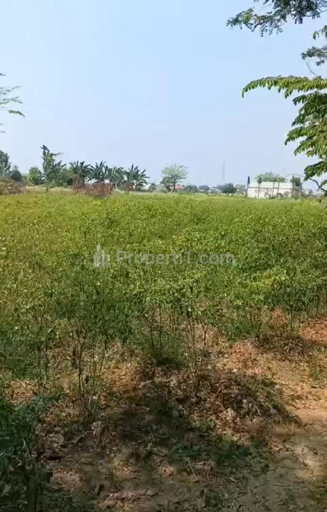 Dijual Tanah untuk Bangun Cluster atau Usaha Serta Gudang Pinggir Jalan Raya Dekat Gerbang Tol Gabus Tambun Utara Bekasi