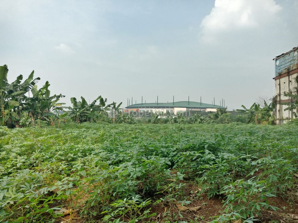 Jual Tanah Kavling Murah 127m2 di Pakansari Cibinong Bogor