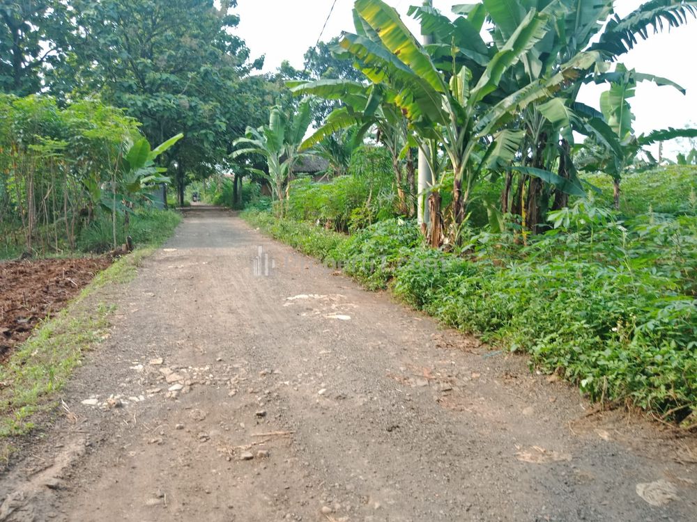 Jual Tanah Kavling Murah 127m2 di Pakansari Cibinong Bogor