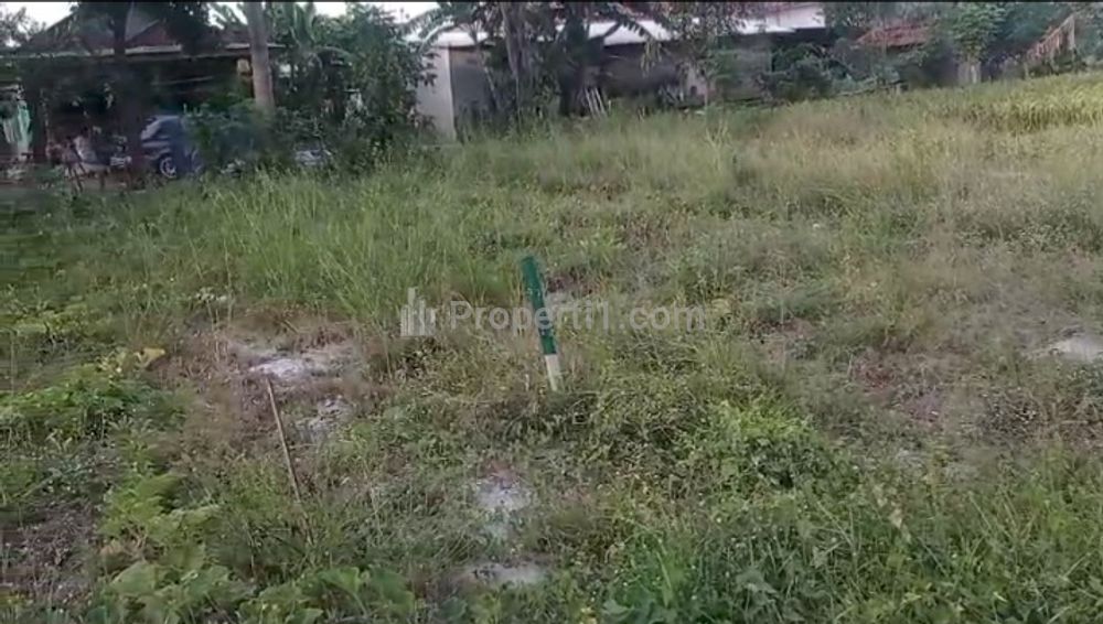 Jual Murah Tanah Kampung Siap Bangun di Muara Bakti Babelan Bekasi