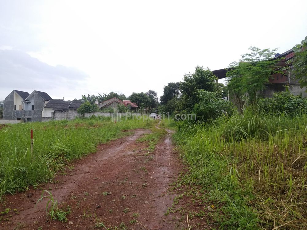 Jual Tanah Kavling Cantik di Bedahan Sawangan Depok, Cocok untuk Investasi dan Harga di Bawah Pasaran