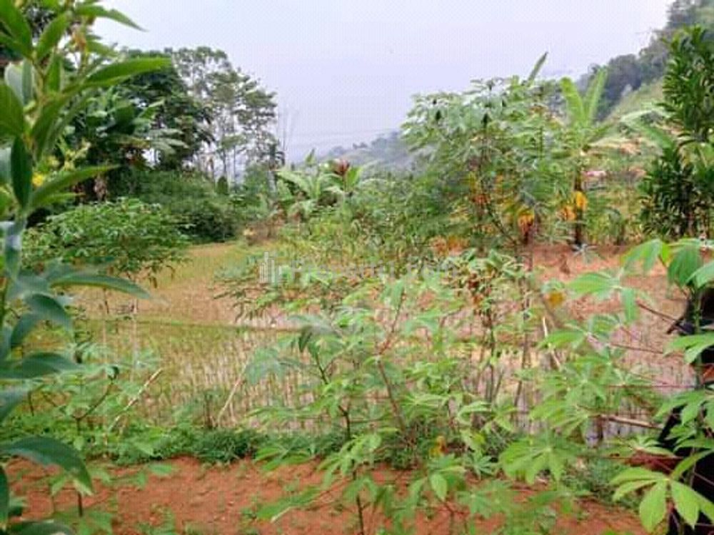 Tanah di pinggir jalan Nasional