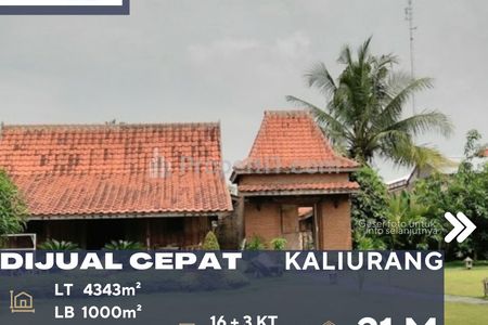 Dijual Cepat Rumah Ber-Etnik Javanese Lingkungan Asri nan Teduh dan Sejuk di Jalan Raya Utama di Daerah Sleman Yogyakarta