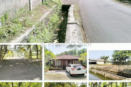 Jual Tanah 54.000 m2 di Ciampea Bogor, View Gunung Salak Dekat Kampus IPB Dramaga, Pasar Dramaga, RS Medika Dramaga, SMA Negeri 1 Ciampea Bogor