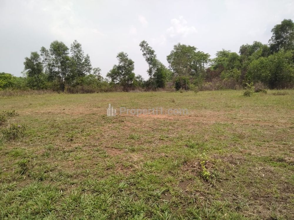Jual Cepat Murah Harga di Bawah Pasaran, Tanah Rata Padat 1.5 Hektar di Jalan Bukit Mertilang Bintaro Jaya Sektor 9 Tangerang Selatan