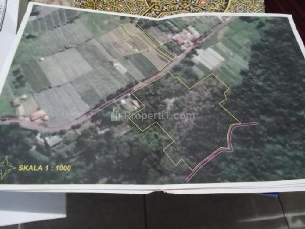 Dijual Tanah Kebun & Sawah di Palasari Subang Jawa Barat - Omzet 10 Juta Up - Luas 1 Hektar