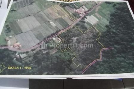 Dijual Tanah Kebun & Sawah di Palasari Subang Jawa Barat - Omzet 10 Juta Up - Luas 1 Hektar