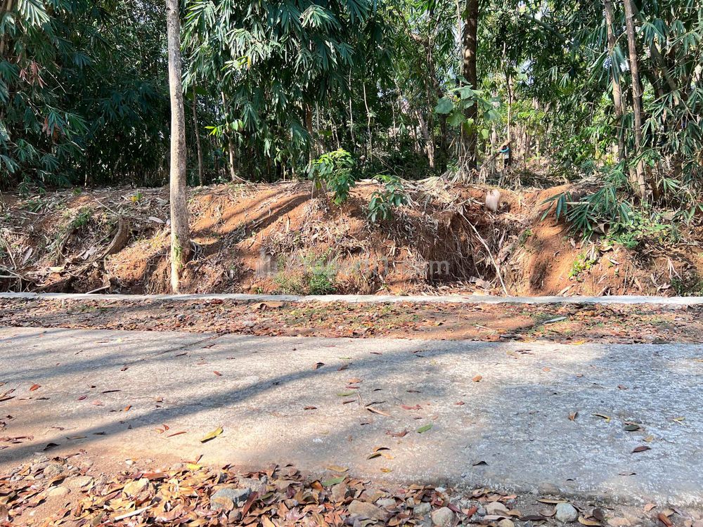 Dijual Tanah Datar 800m² 250 Juta di Mojogedang Karanganyar