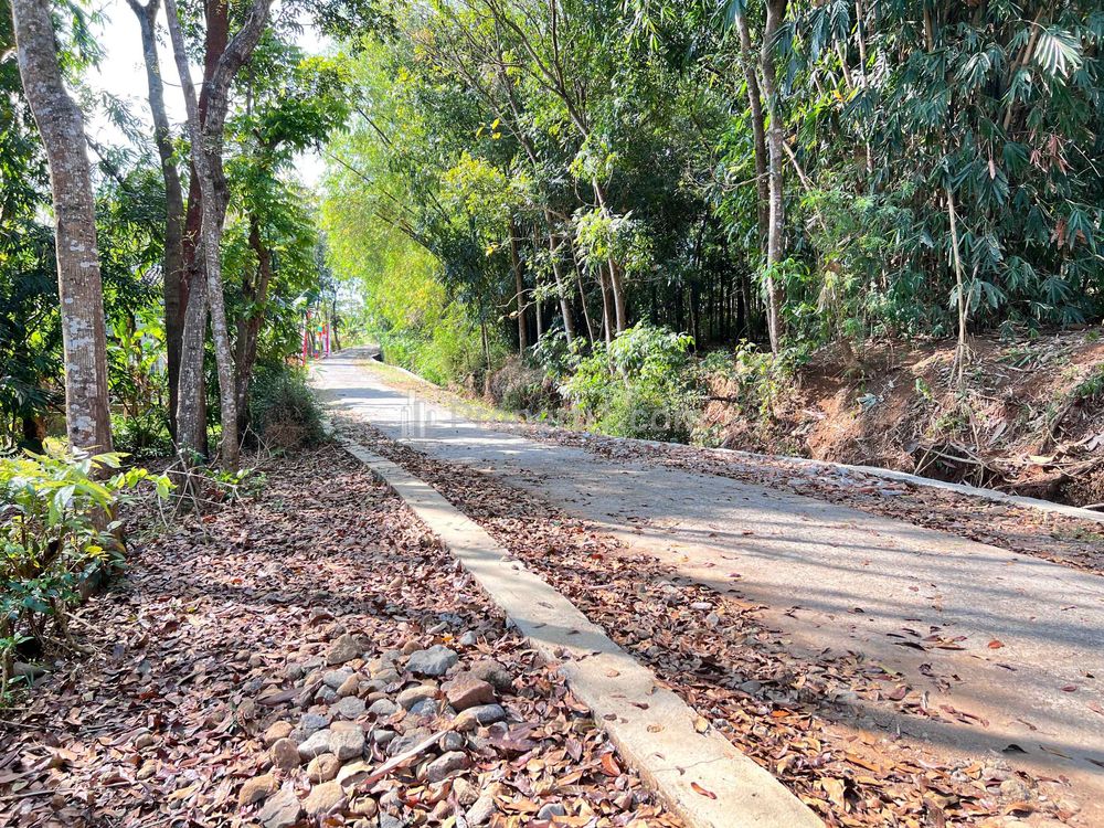 Dijual Tanah Datar 800m² 250 Juta di Mojogedang Karanganyar