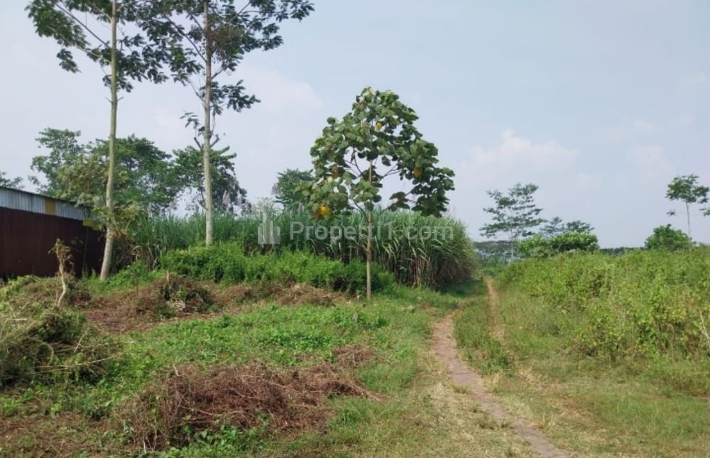 Dijual Tanah di Papa-papa Suhat Malang, Luas Tanah 312