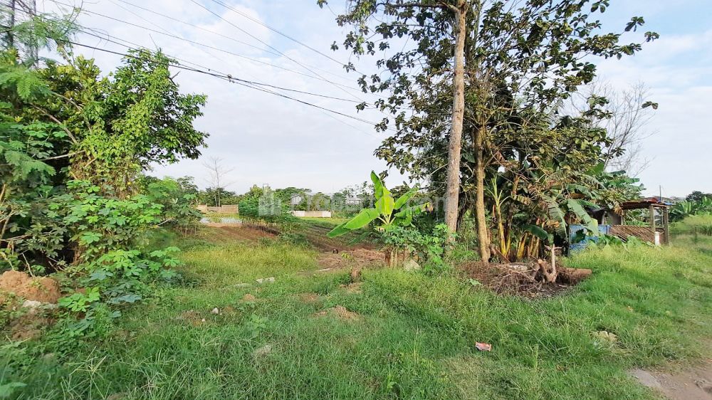 Jual Tanah 2.277 m2 di Jl. Raya Cikande Rangkasbitung Serang Banten Dekat Pasar Majasari, SMA Negeri 1 Jawilan, STAI Assalamiyah Serang