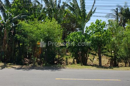 Dijual Cepat Tanah Kosong di Pinggir Jalan Besar, Buleleng, Bali (Bisa Nego)