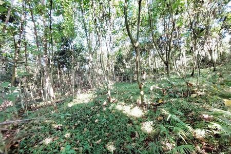 Jual Tanah 4.000 m2 di Desa Gelam, Cipocok Jaya, Serang, Banten Dekat Perumahan Karisma Gelam Asri, SDN Dalung 1 Kota Serang