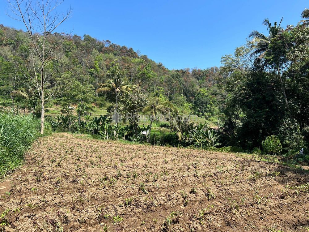 Dijual Tanah 1327m² Dekat Sungai Kawasan Wisata Ngargoyoso, Karanganyar