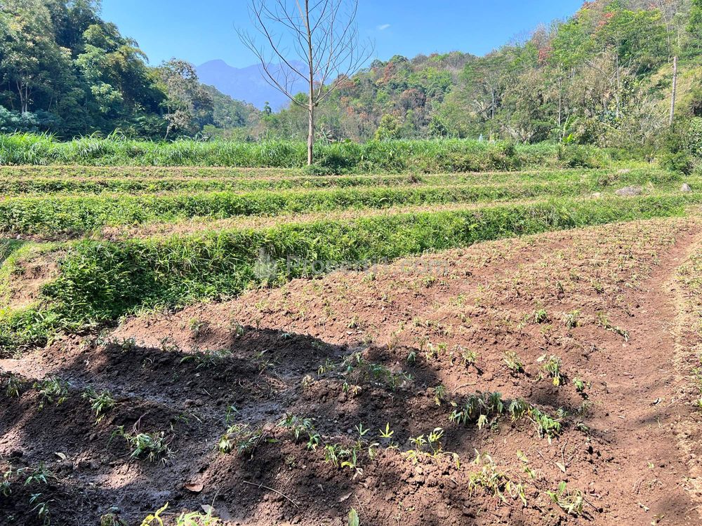 Dijual Tanah 1327m² Dekat Sungai Kawasan Wisata Ngargoyoso, Karanganyar