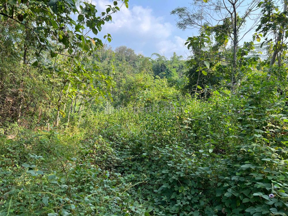 Dijual Tanah Murah 3075m²  275 Juta di Karanganyar