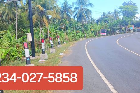 Dijual Tanah 1,75 Hektar di Jalan Denpasar - Gilimanuk Melaya Jembrana Bali