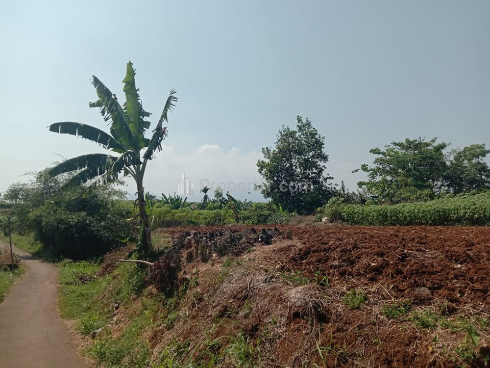 Jual Tanah Murah 142 Hektar SHM di Ciluar, Bogor Utara, Kota Bogor