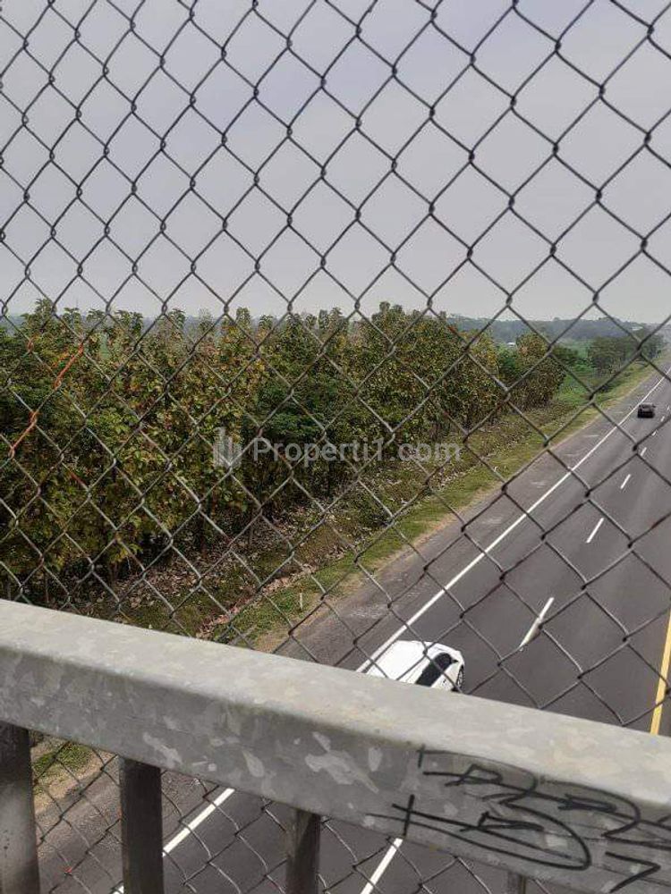 Jual Tanah Murah Luas 900 Hektar di Cibogo, Cisauk, Tangerang, Banten