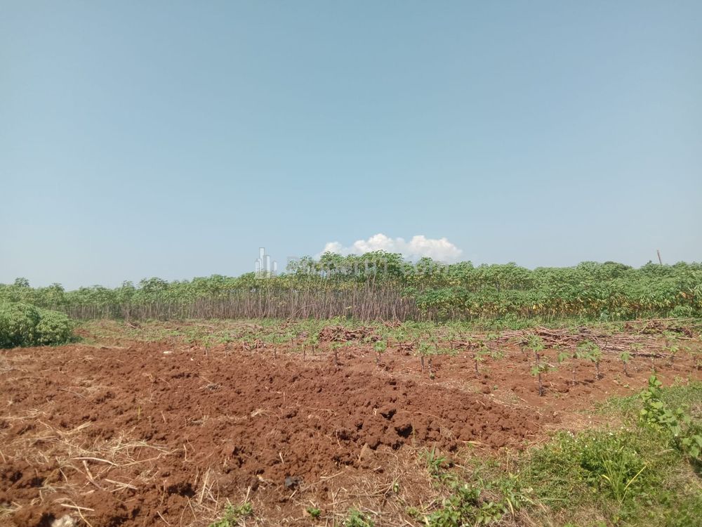Jual Tanah Murah 142 Hektar SHM di Ciluar, Bogor Utara, Kota Bogor