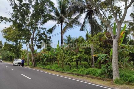 Jual Tanah Kebun Sangat Luas di Antosari, Selemadeg Barat, Tabanan, Bali