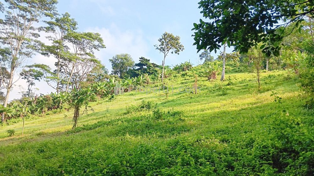 Jual BU Tanah 9.286 m2 di Campang Raya Bandar Lampung Dekat Pasar Beringin Bandar Lampung, Japfa Comfeed Indonesia, Lampung City Mall