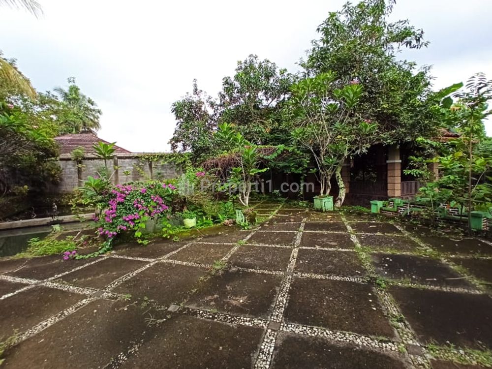 Dijual Rumah Luas 2000 m2 Daerah Ciamis Jawa Barat Harga Nego