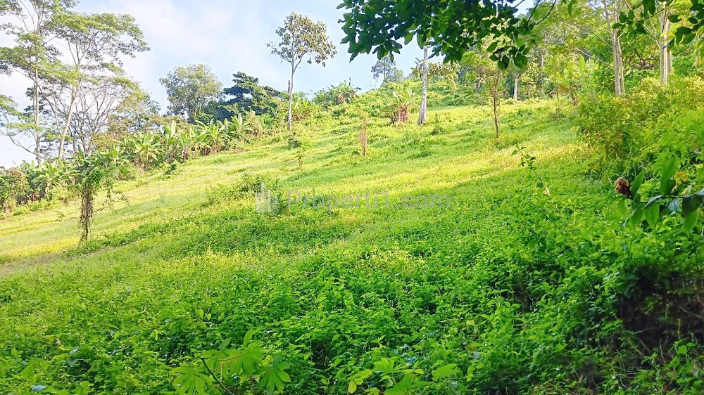 Jual BU Tanah 9.286 m2 di Campang Raya Bandar Lampung Dekat Pasar Beringin Bandar Lampung, Japfa Comfeed Indonesia, Lampung City Mall