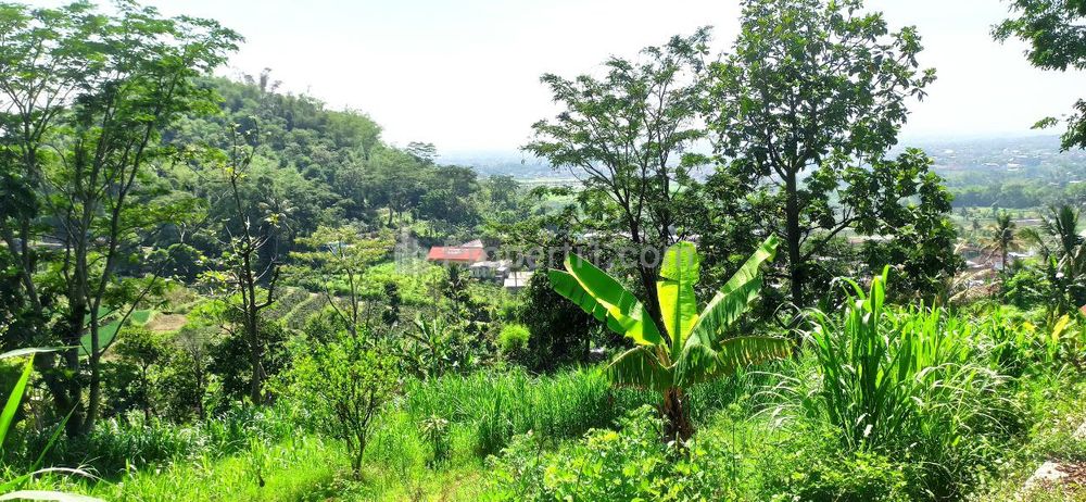 Dijual Tanah Batu Jatim, Luas Tanah 562