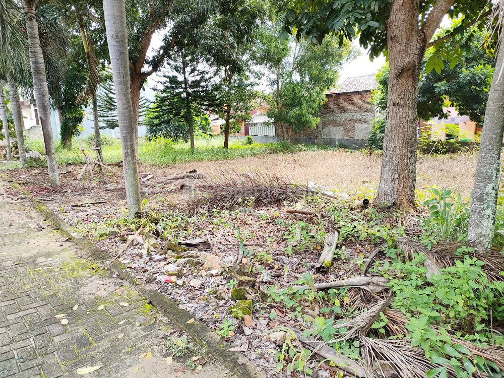 Jual Tanah di Kedaton Bandar Lampung Dekat Mall Boemi Kedaton, Transmart Bandar Lampung, Lampung Walk, RS Advent Bandar Lampung, Universitas Lampung
