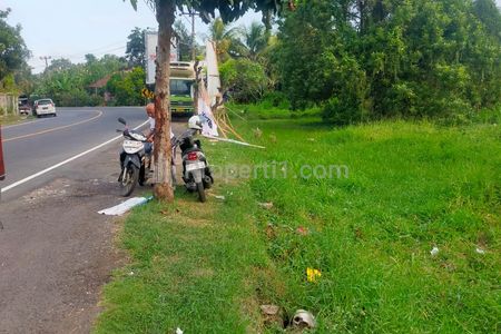 Jual Tanah Murah dan Nego, Bawah Pasaran, Tanah Kosong SHM 20 Hektar di Pinggir Jalan Raya Dua Arah, Bisa Bikin Perumahan, Strategis di Tabanan Bali