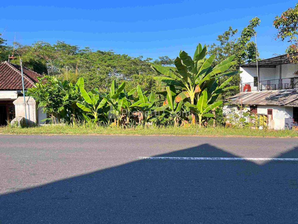 Dijual Tanah 375 Juta Strategis untuk Buka Usaha di Karangpandan, Karanganyar