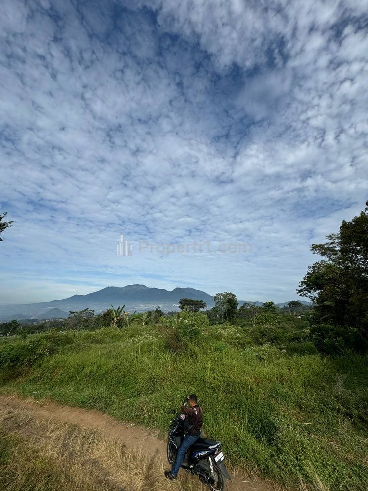 Dijual Tanah di Karangploso Bocek Malang, Luas Tanah 5 Hektar
