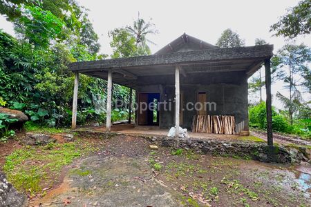 Dijual Kebun Durian 1652m² Bonus Rumah Sederhana di Karanganyar