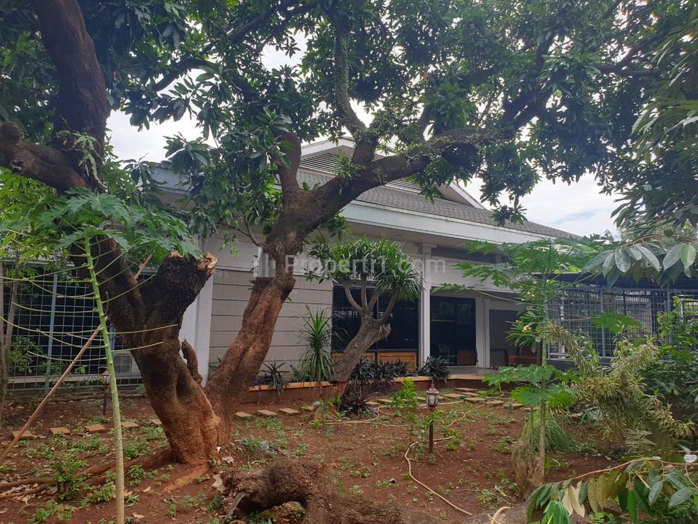 Sewa Murah Rumah Besar di Permata Hijau Kebayoran Lama Jakarta Selatan - Luas Tanah 1080m2, Bangunan 800m2