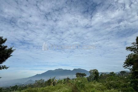 Dijual Tanah di Karangploso Bocek Malang, Luas Tanah 5 Hektar